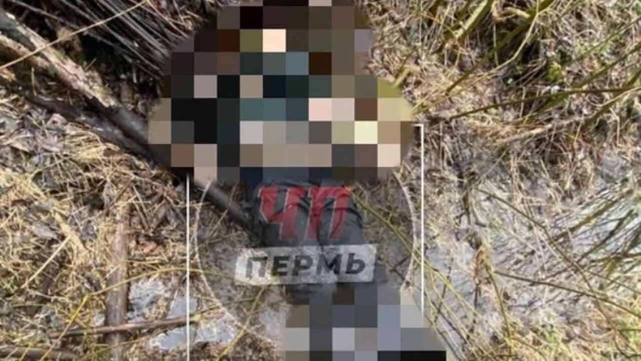 В Перми у химзавода нашли тело предполагаемого беглого заключенного В Перми у химзавода нашли тело мужчины. В соцсе...