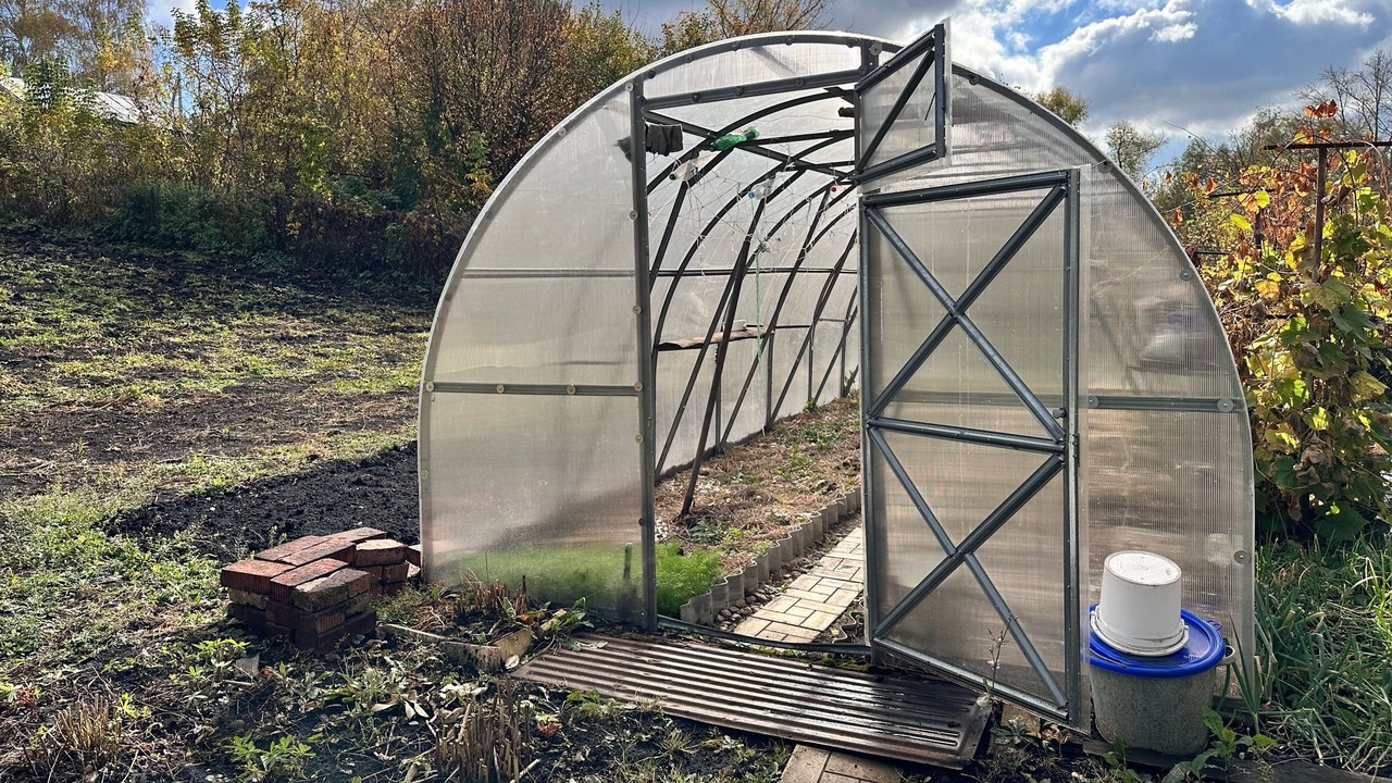 Нужно ли каждую весну полностью менять землю в ...