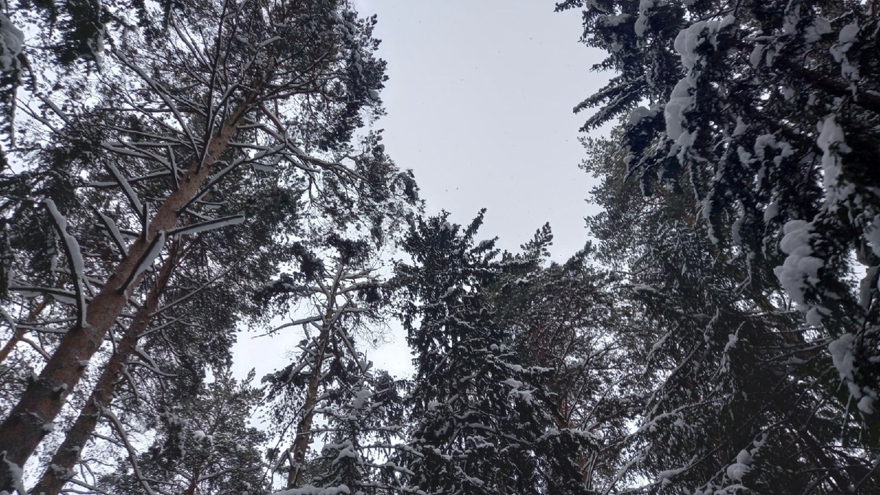 В выходные в Пермском крае будет преобладать об...