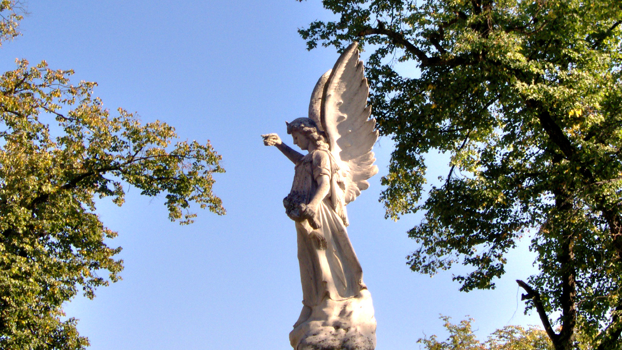 Духовные учения говорят, что рядом с каждым чел...