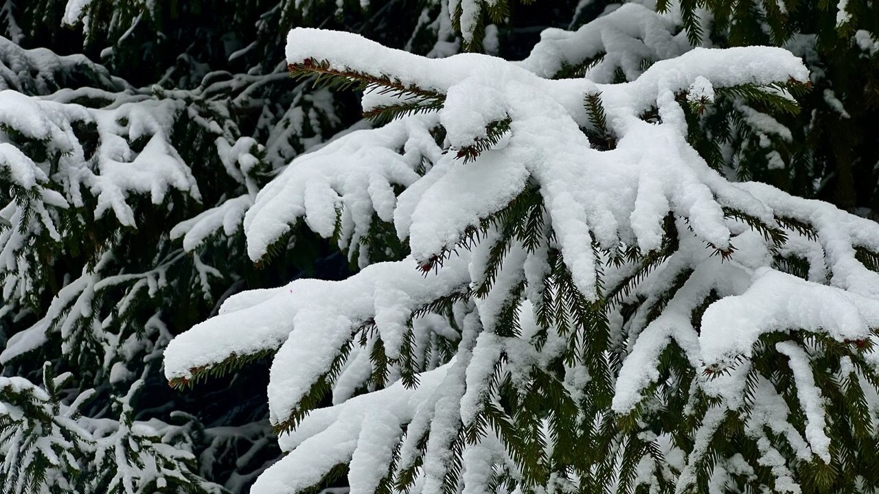 Жители Перми оценили новогоднее оформление города на «3+» Компания SuperJob провела опрос среди жителей г...