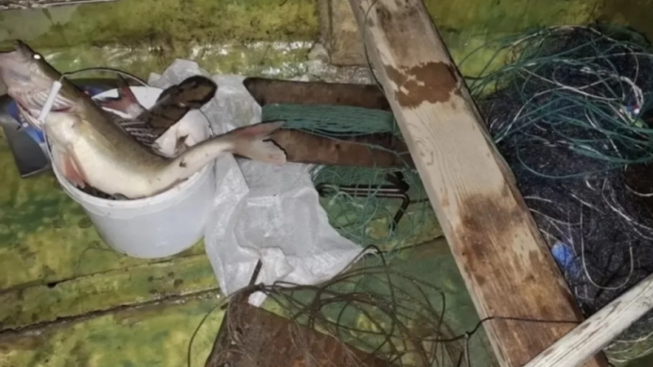 В отношении 49-летнего жителя Перми возбудили у...