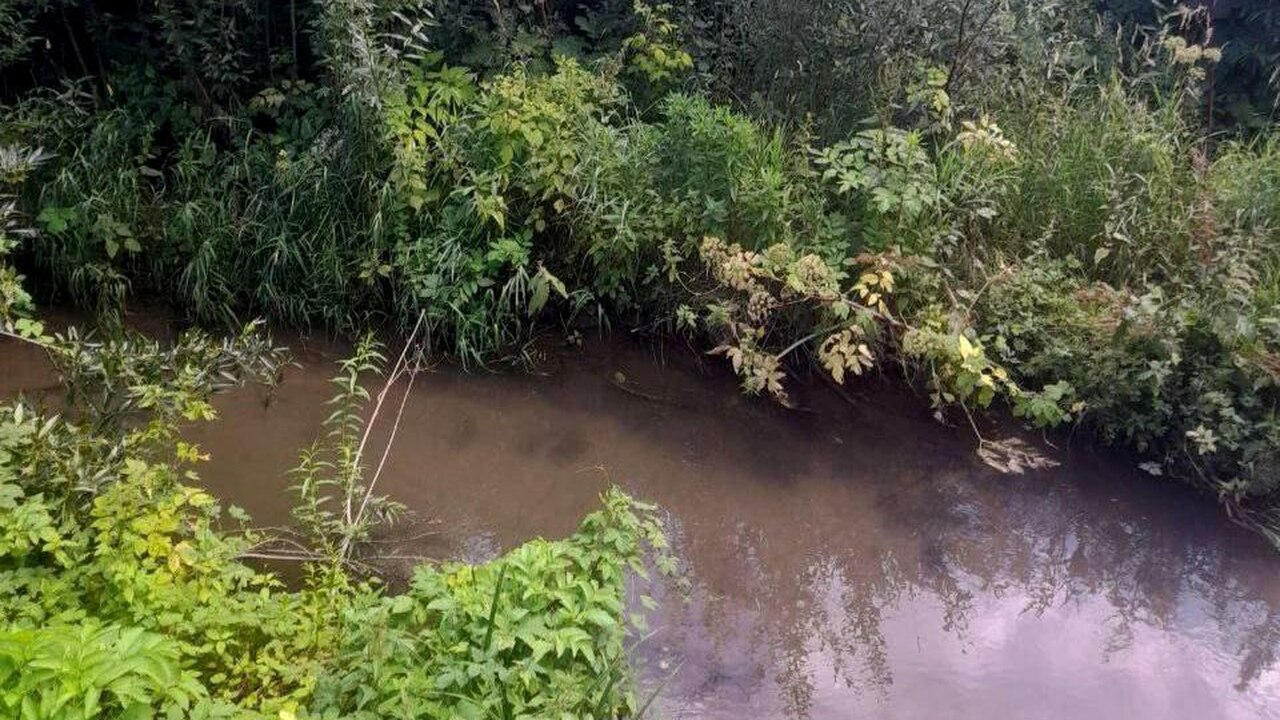 Прокуратура организовала проверку по факту загрязнения воды в Перми В рамках проверки специалисты отобрали пробы воды