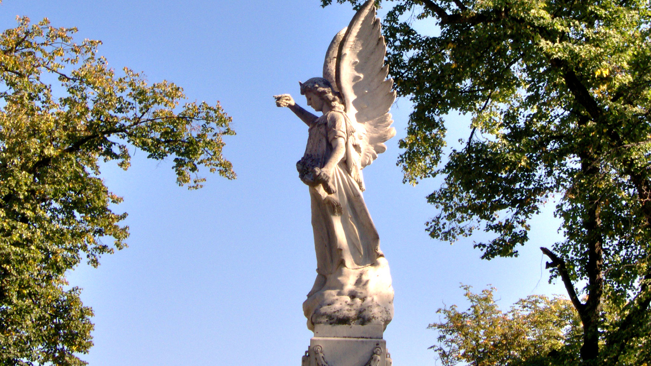 Ангел рядом: священники раскрыли, почему мы не чувствуем его присутствие Многие верят, что у каждого человека есть Ангел...