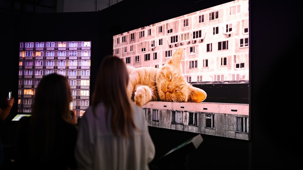 В семи российских городах стартует масштабная в...