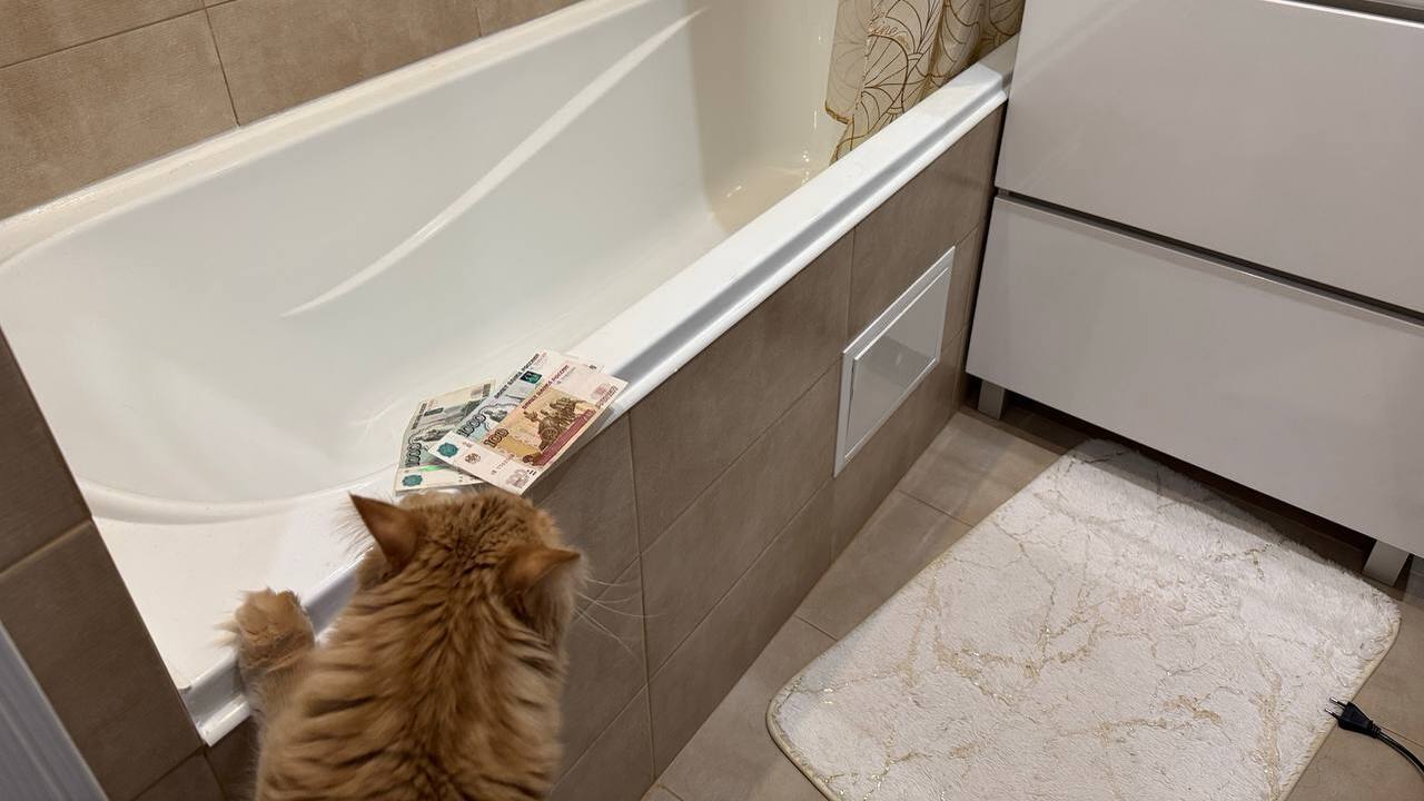 С 1 марта правила в сфере ЖКХ изменятся заметно: какие начисления ждут собственников и прописанных С весны 2026 года привычный порядок оплаты ЖКХ ...