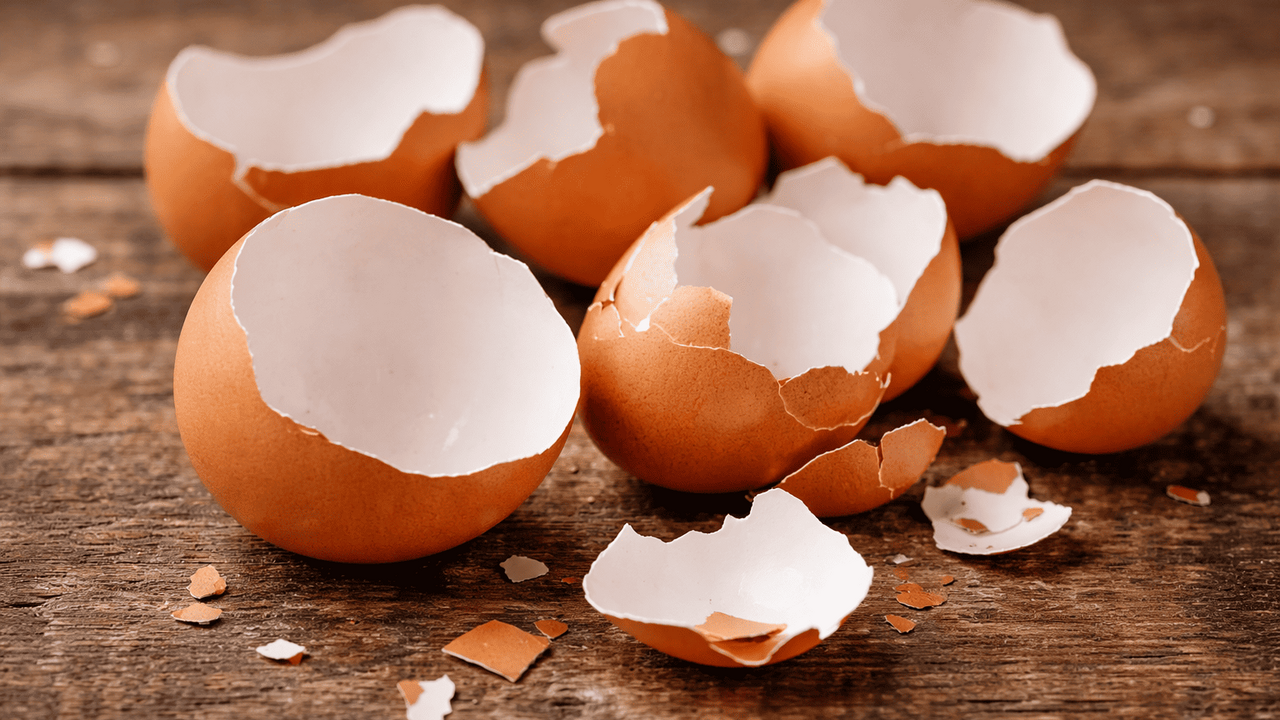 Может ли обычная яичная скорлупа действительно ...