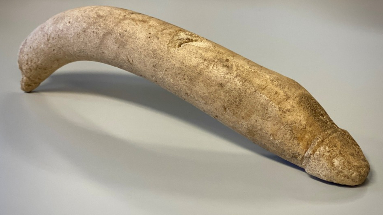 Учёные из Нидерландов начали изучение обширной ...