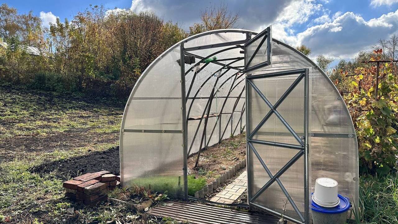 Эти осенние хитрости спасут деревья от вымерзания — проверено садоводами Осень — не время отдыха для садовода, а важный ...