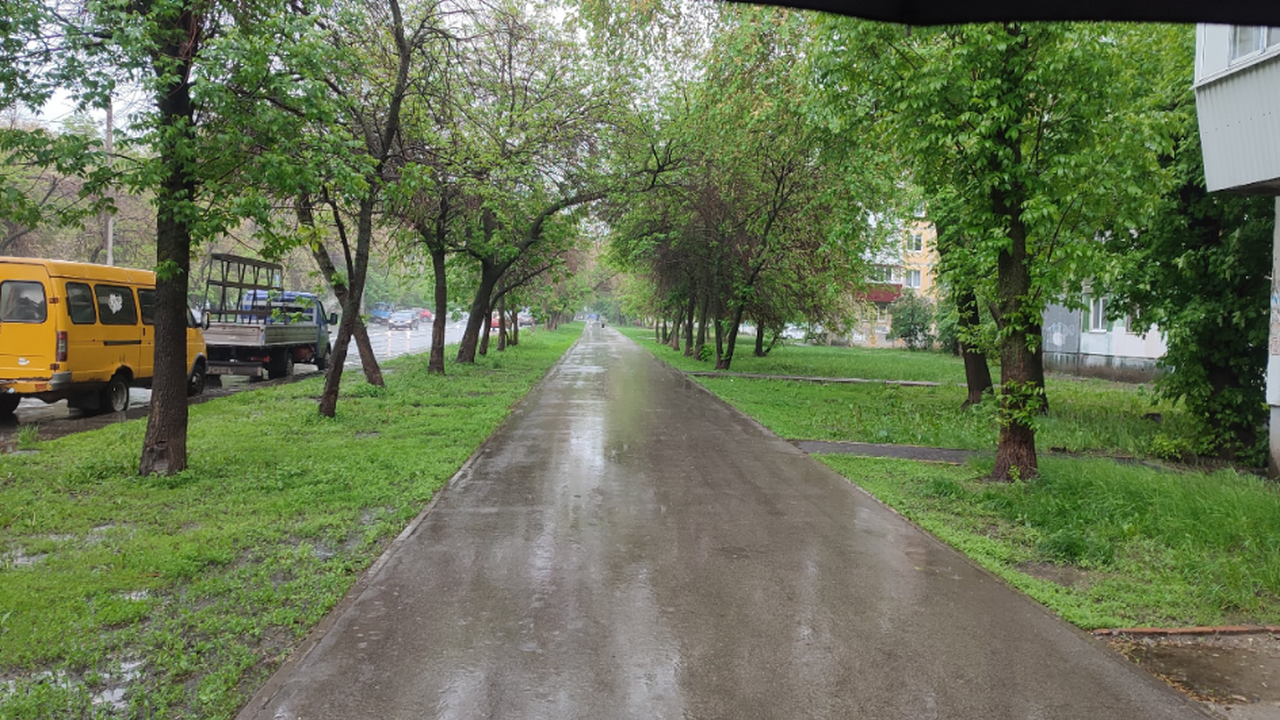 Дожди в Прикамье продолжатся всю неделю Атмосферная ложбина над европейской частью Росс...