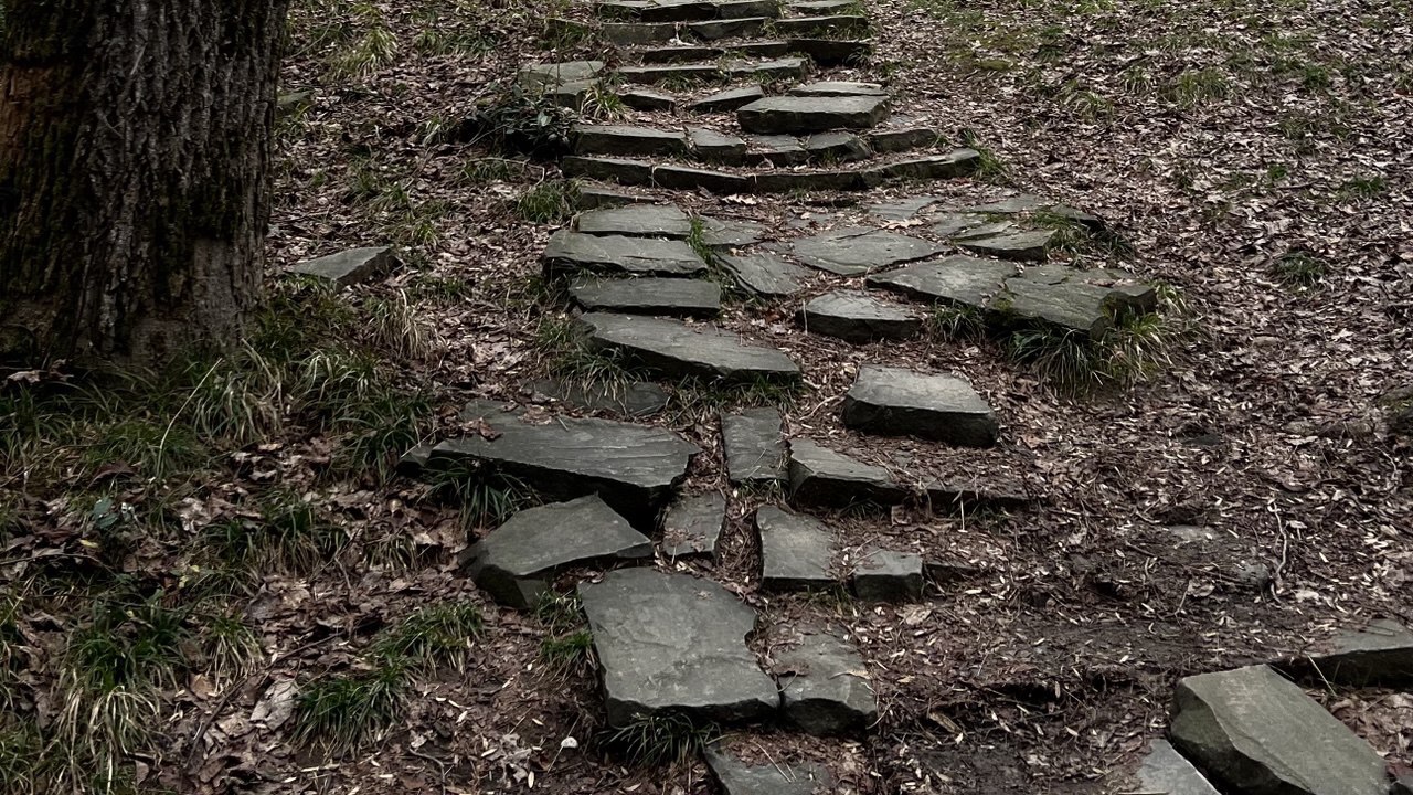 Международная группа ученых зафиксировала перел...