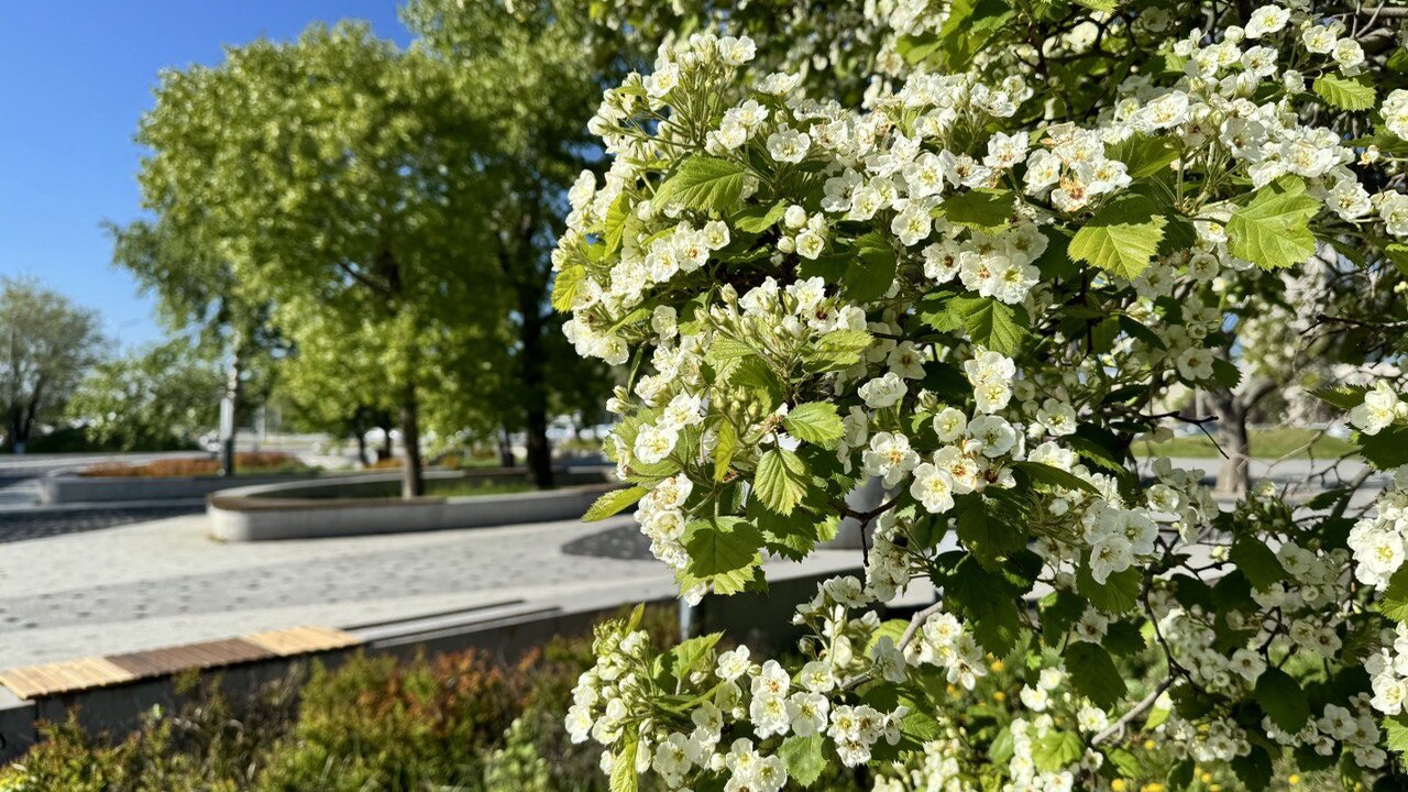 Тепло придёт раньше привычных сроков: в Гидрометцентре раскрыли подробный прогноз весны 2026 года Российские ученые назвали точную дату наступлен...