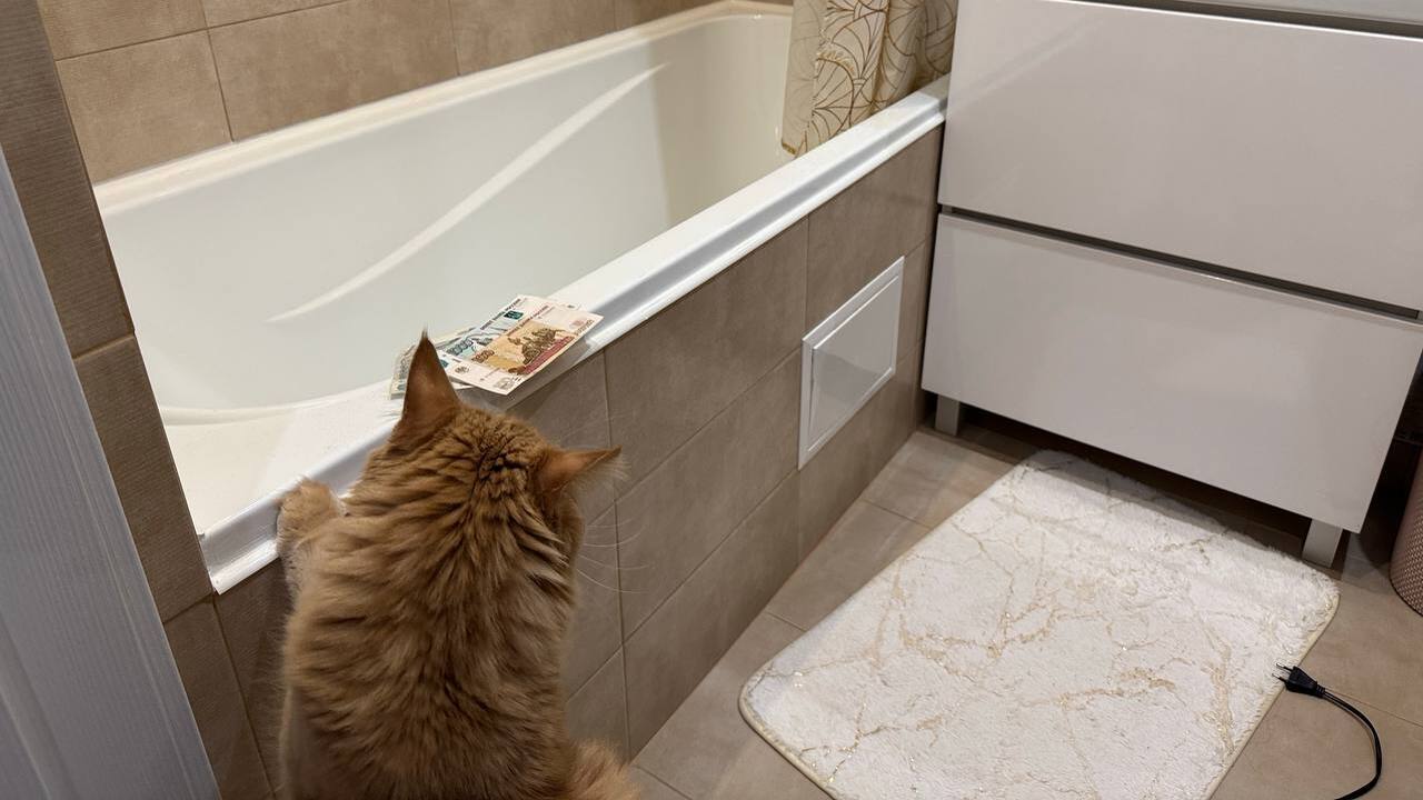 Новый порядок для квартир с ванной — что теперь ждет всех жильцов Перепланировка ванной комнаты кажется безобидны...