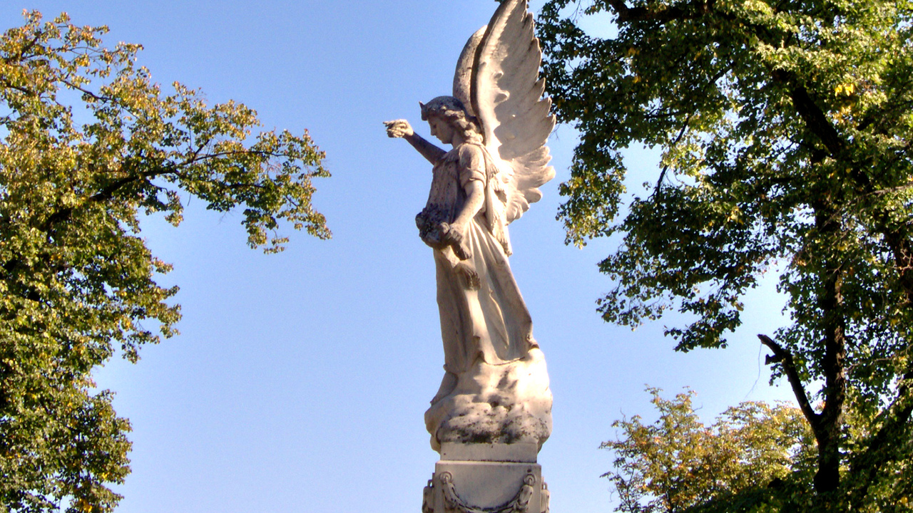 Ангелы среди нас: почему большинство людей не замечают их помощи Многие верят, что у каждого человека есть Ангел...