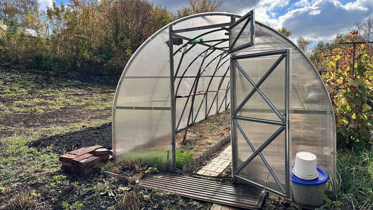 Холод в теплице не приговор для томатов: простой способ сохранить рассаду без дополнительного тепла Минус за окном пугает, но действительно ли нужн...