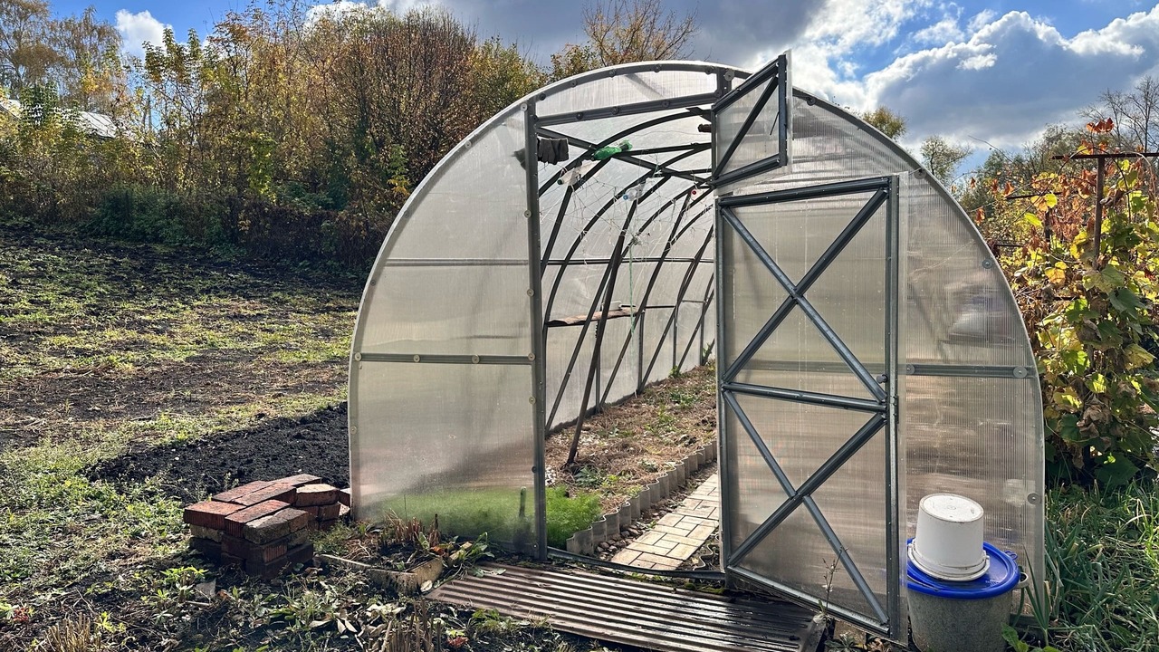 Снежная зима может как помочь будущему урожаю, ...