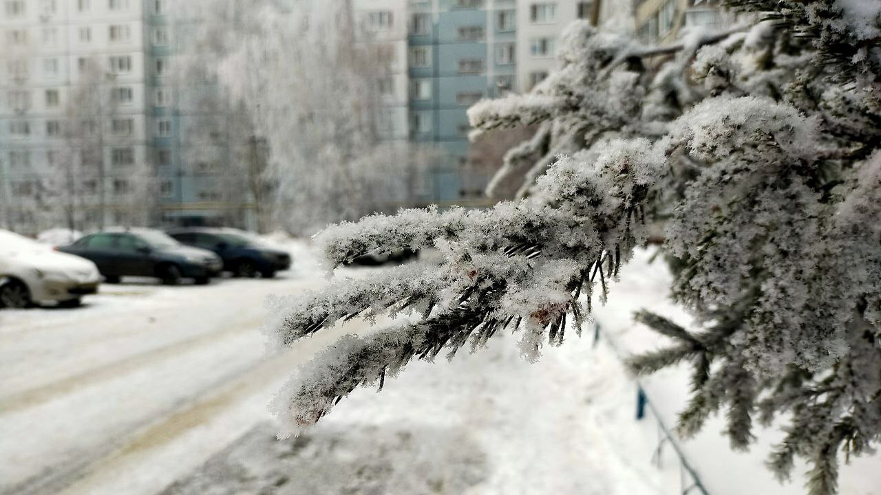 Согласно сообщению издания "Новый компаньон", н...