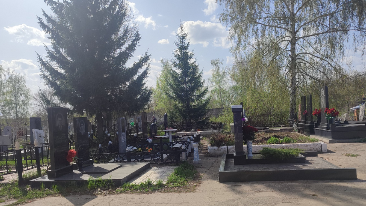 В Австралии учёные установили камеры в гробах д...