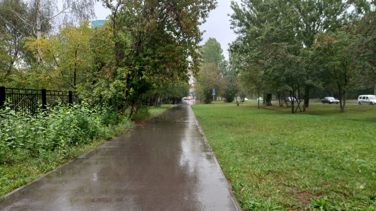 На этой неделе в Пермском крае ожидается прохладная и дождливая погода. В Пермском крае неделя будет прохладной и дождл...