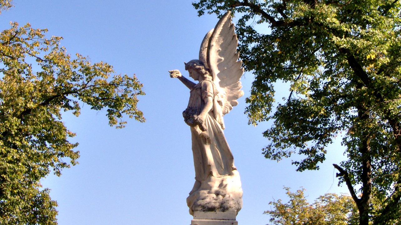 Духовное откровение: священники объяснили, как распознать голос Ангела Многие верят, что каждому с рождения дан Ангел-...