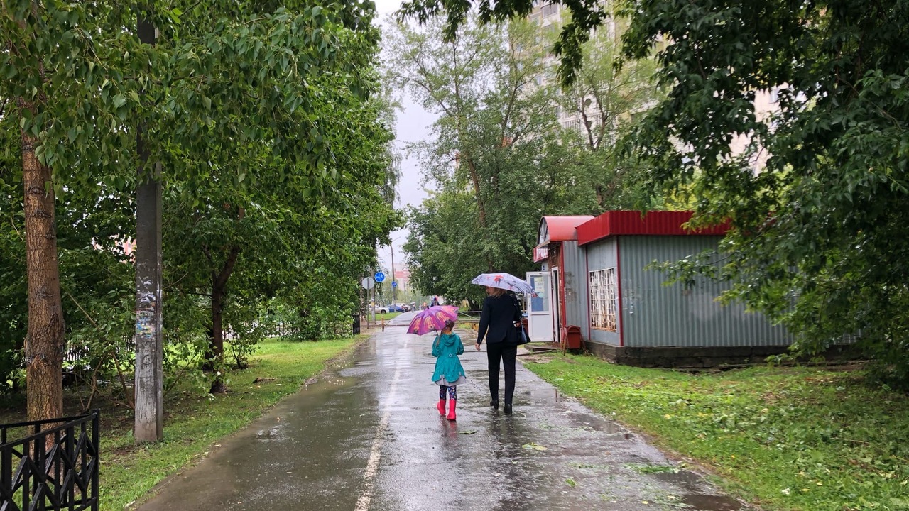 Как правильно сушить зонт после дождя: почему е...