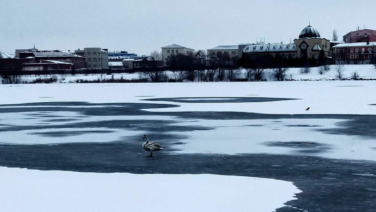 Новогодняя ночь 2026 года в России пройдет без ...