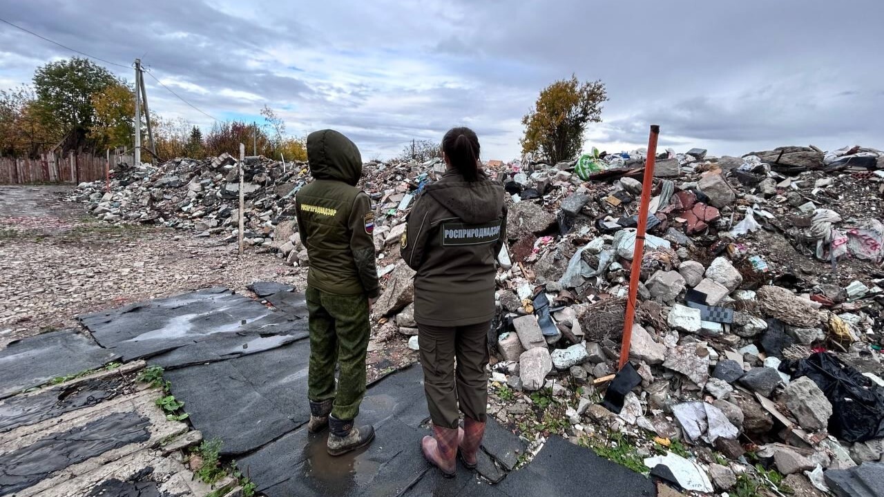 Власти Перми займутся устранением крупной свалки В Орджоникидзевском районе Перми планируется ре...