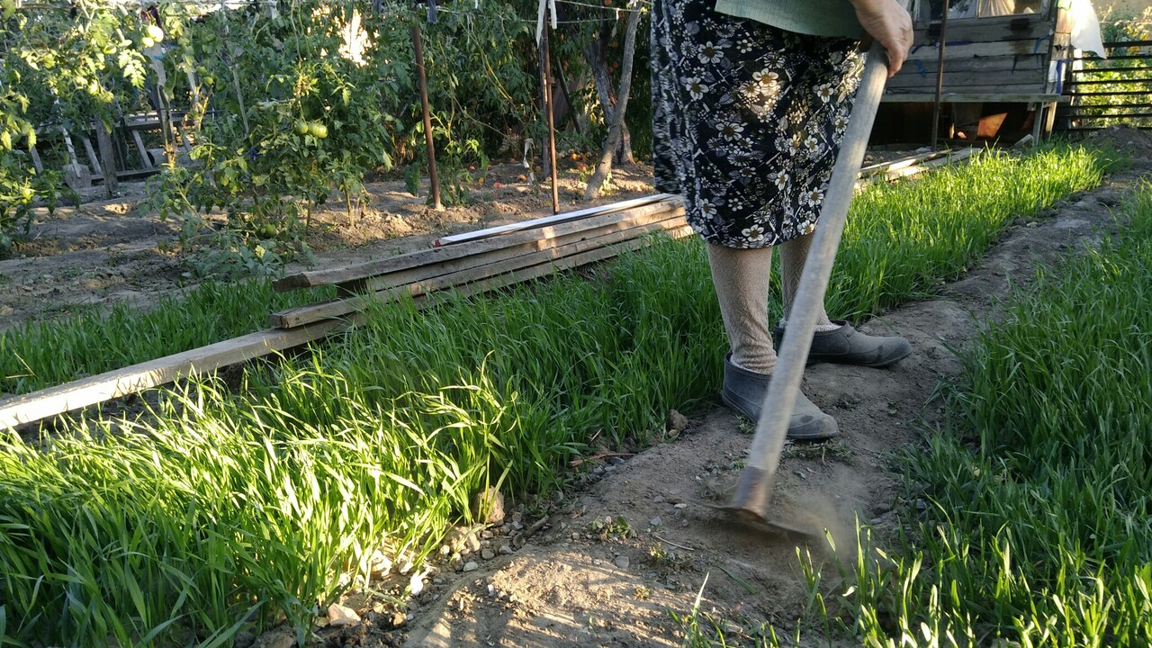 Древесную золу раньше берегли не случайно. Разб...