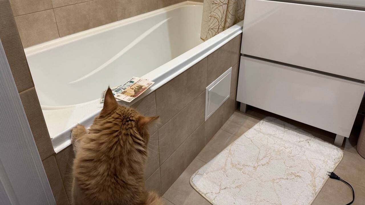 Жильцов ждет шок — новые тарифы для тех, у кого есть ванна, уже утверждены Ремонт ванной комнаты нередко включает переплан...