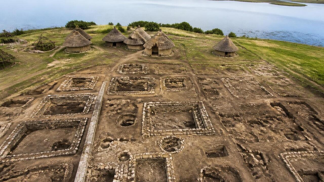Британские археологи обнаружили остатки насеком...