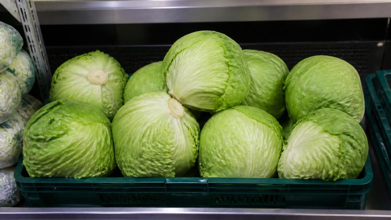 Салат айсберг отзывают в 27 штатах США из-за опасного паразита Компания Taylor Farms отзывает партию салата ай...