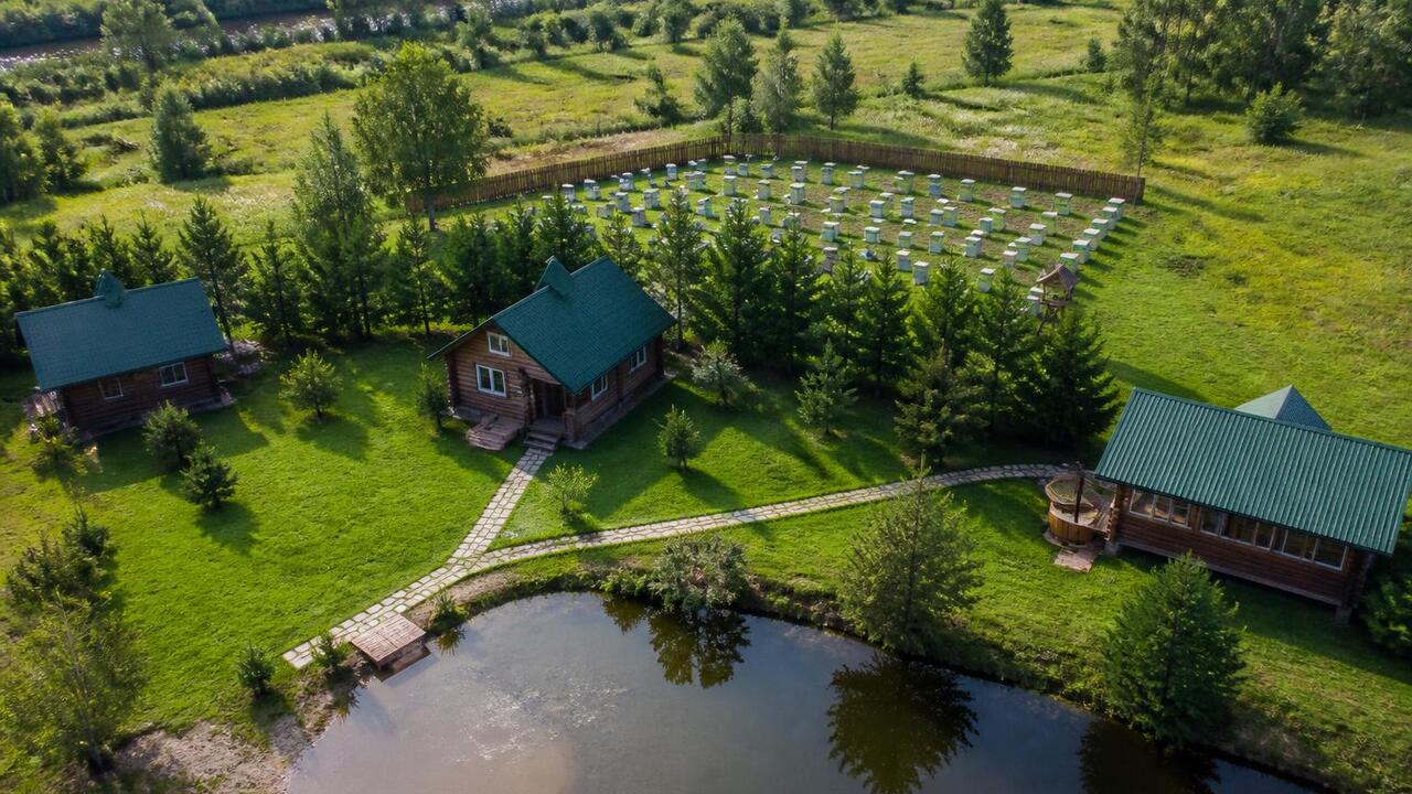 Экс-глава транспортного комитета Перми построит агродеревню с глэмпингом В Пермском округе экс-глава транспортного комит...