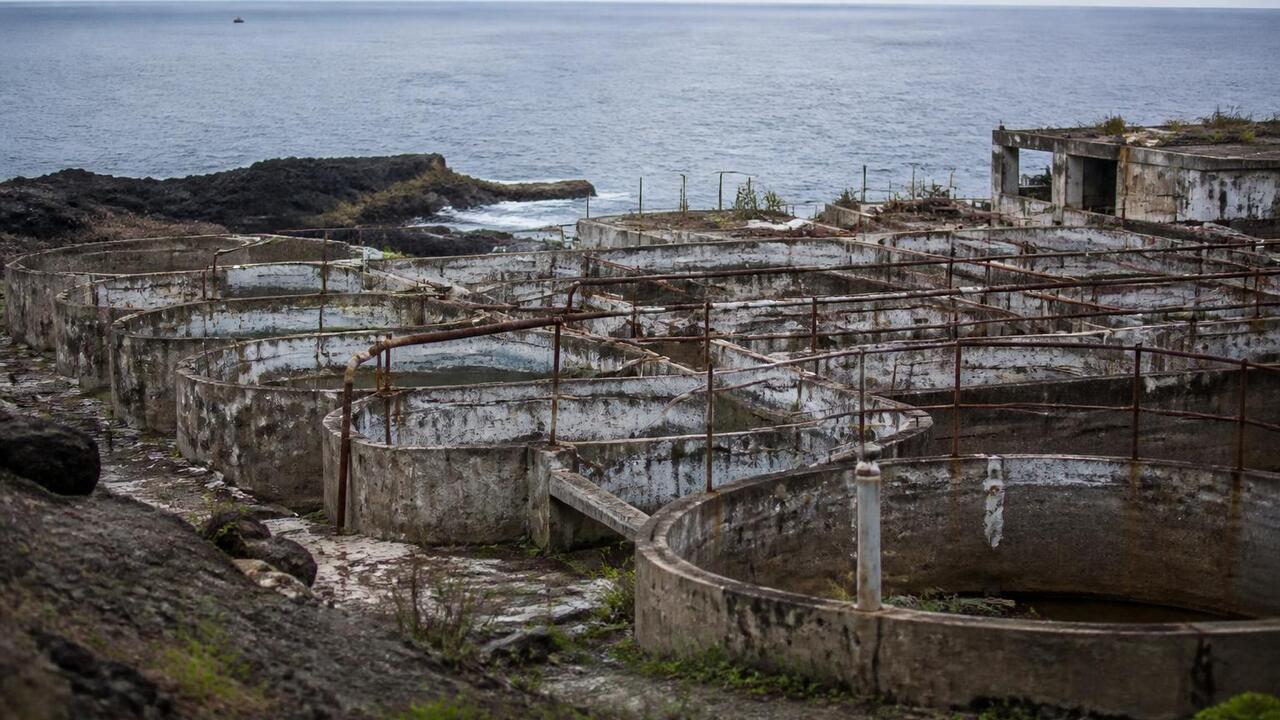 Испанская компания Nueva Pescanova отменила про...