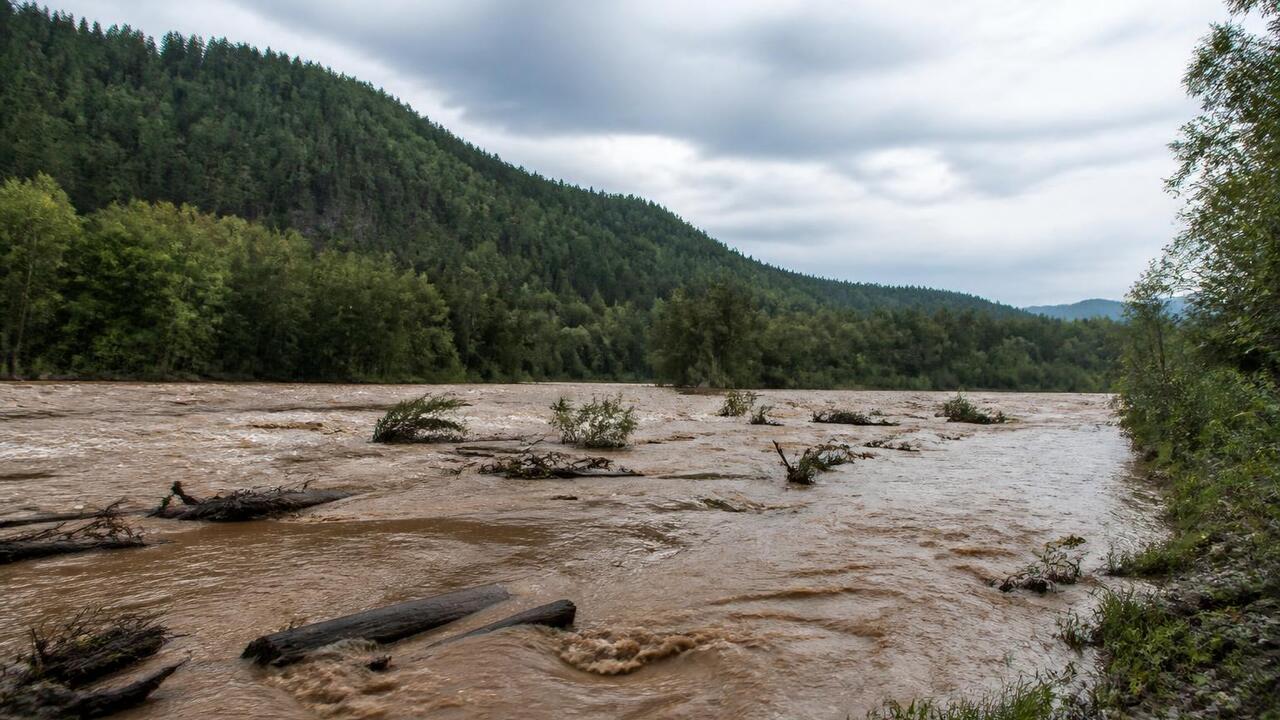 В Усьве из-за паводка отмечается опасное повышение уровня воды В реке Усьве из-за ливней начался паводок: вода...