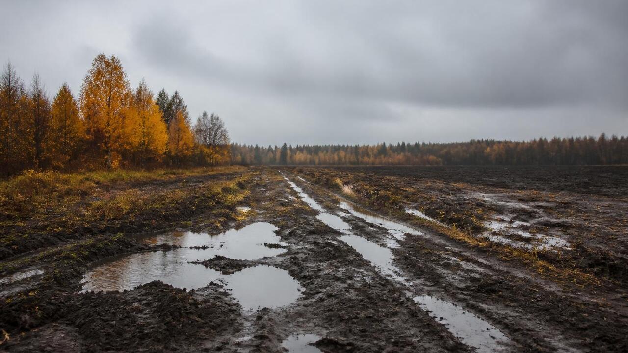 В Прикамье сохраняется угроза переувлажнения по...
