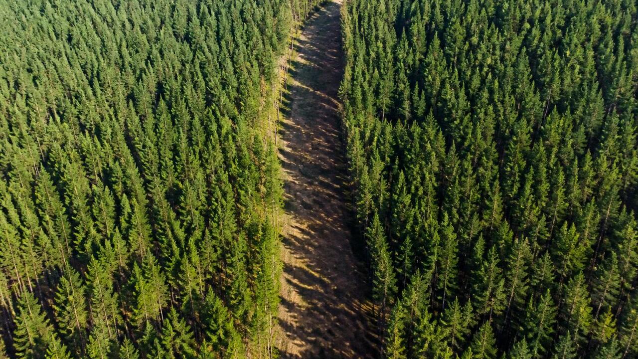 В Пермском крае завершился пожароопасный сезон ...