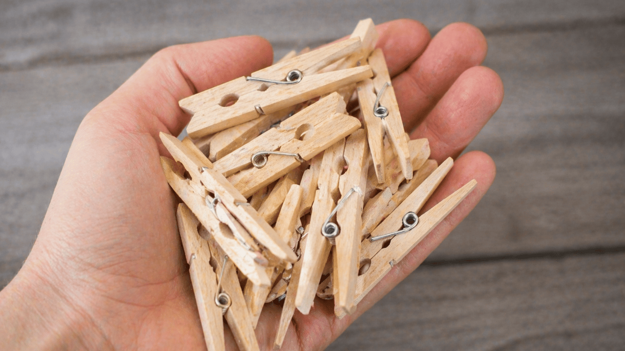 Обычная бельевая прищепка может спасти урожай ц...