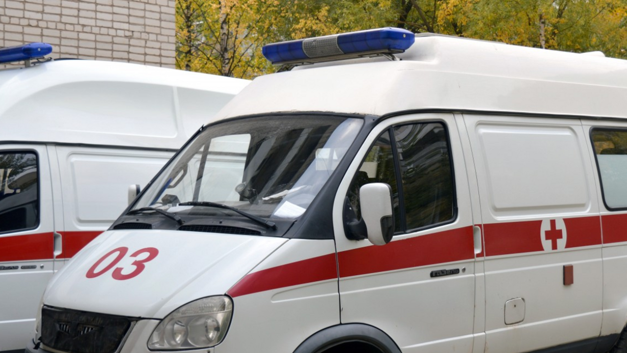 В МВД прокомментировали новость о мертвой пермячке на заборе в Закамске В Перми на заборе обнаружено тело молодой девуш...