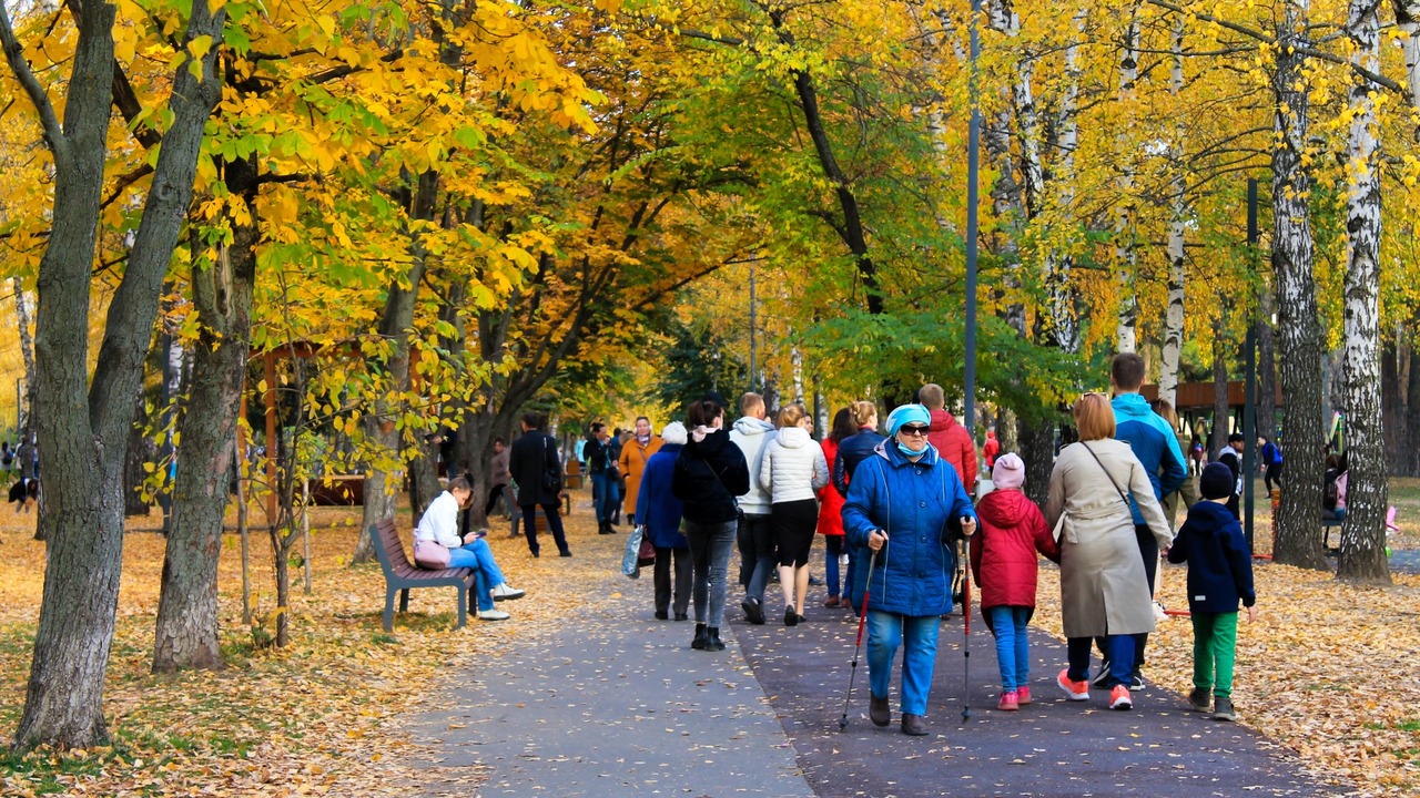 Российские пенсионеры могут получить единовреме...