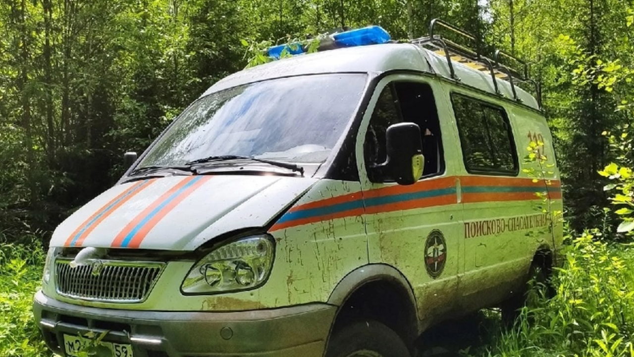 В Прикамье заблудившихся мужчину и женщину выводили из леса спасатели В случае если вы потерялись в лесу, при первой ...