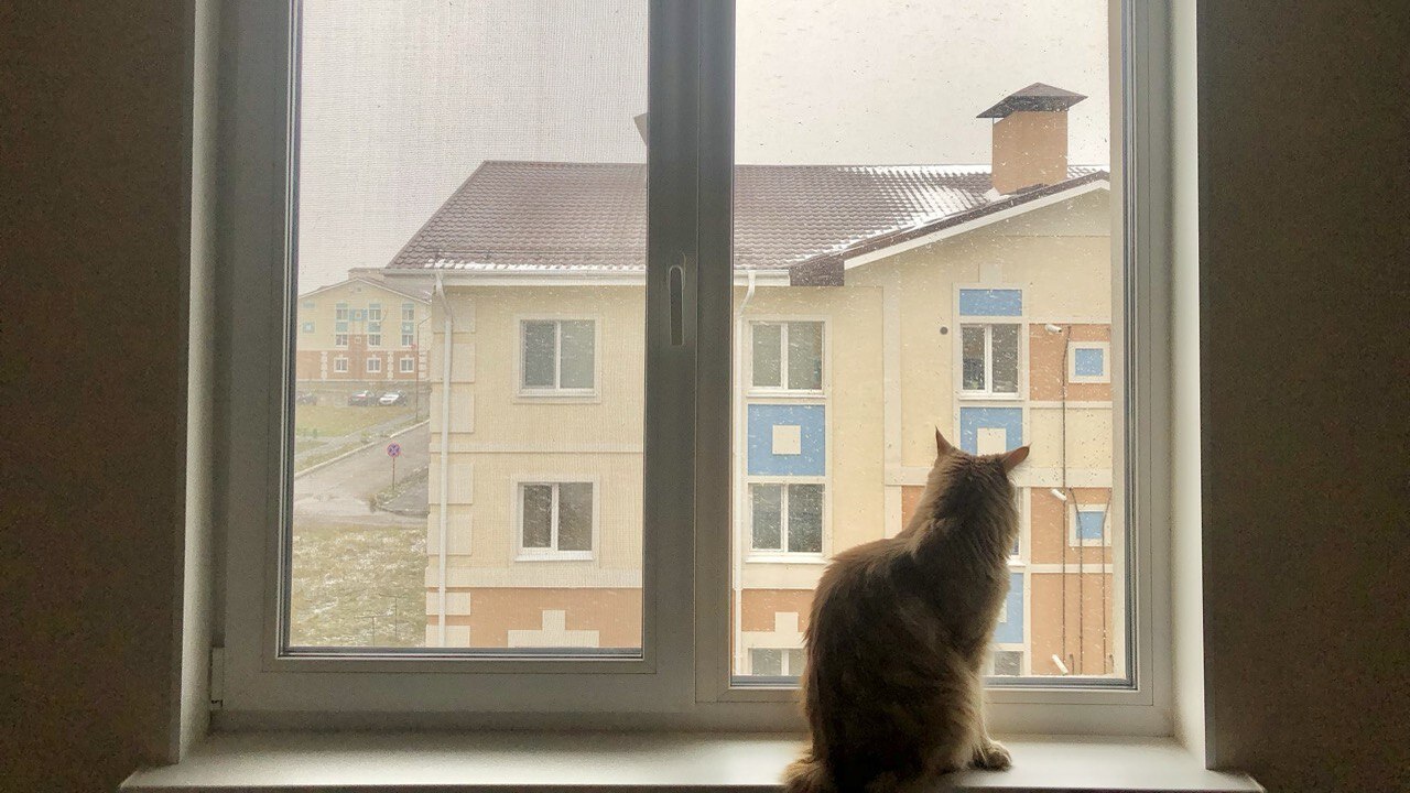 Некоторые знаки зодиака категорически не приним...