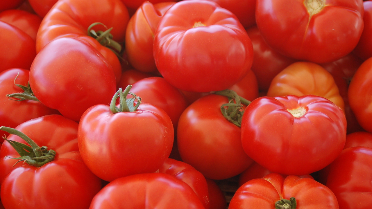 Полезно каждому дачнику: шесть сортов томатов с лучшим вкусом и урожайностью — выбирайте свои Перед полками с пакетиками семян легко растерят...