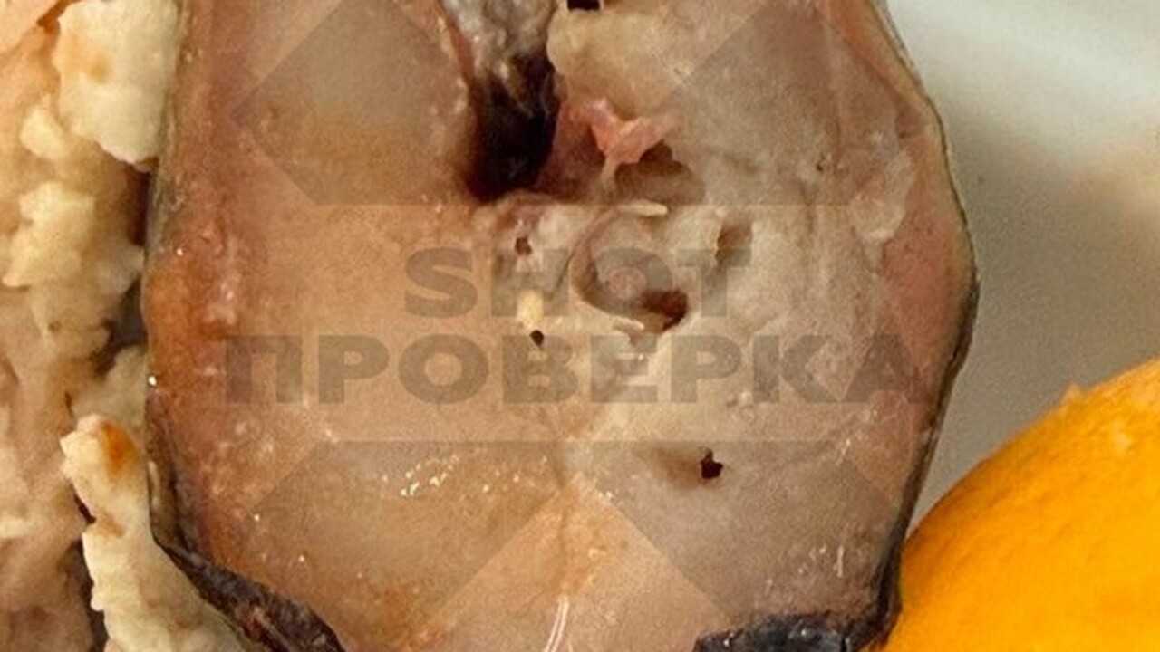 SHOT: в Египте россиян с детьми накормили скумбрией с червями Российская семья с детьми столкнулась с неприят...