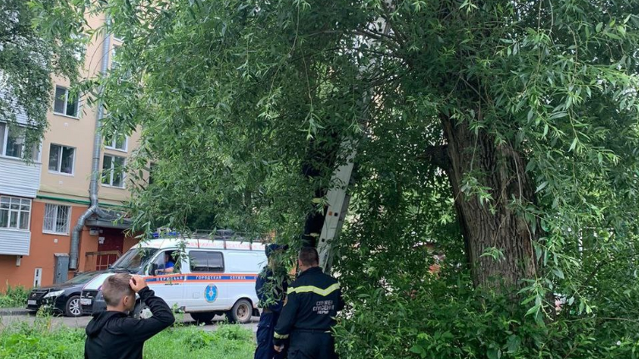 Спасатели не смогли остаться равнодушными