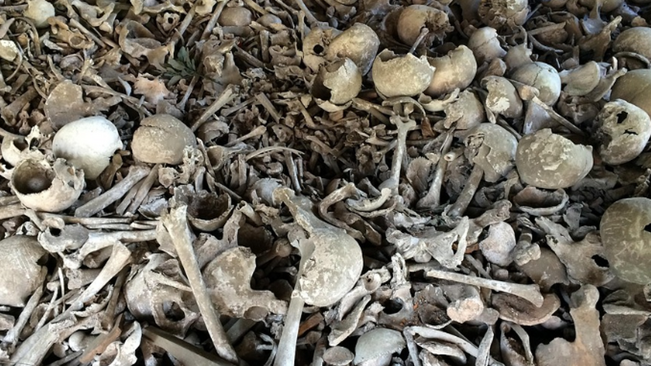 Археологи проводят исследование останков Homo erectus в Индонезии Эти данные расширяют понимание древней фауны и ...