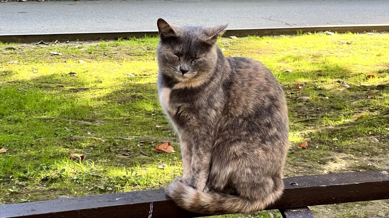 В Центре городской культуры 10 января в 14:00 с...