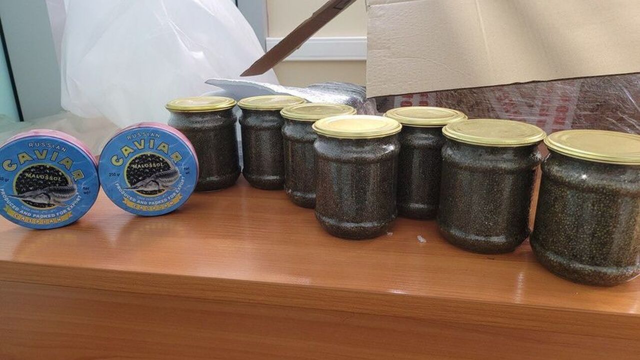 В Домодедове задержали 22-летнего пассажира рей...