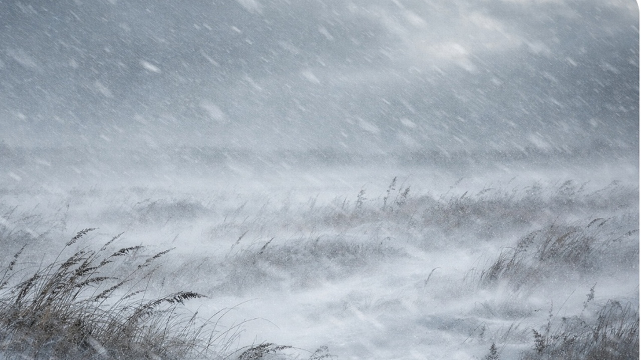 Вишерский заповедник опроверг связь с пропавшими туристами на Кваркуше В Пермском крае продолжаются поиски пяти турист...
