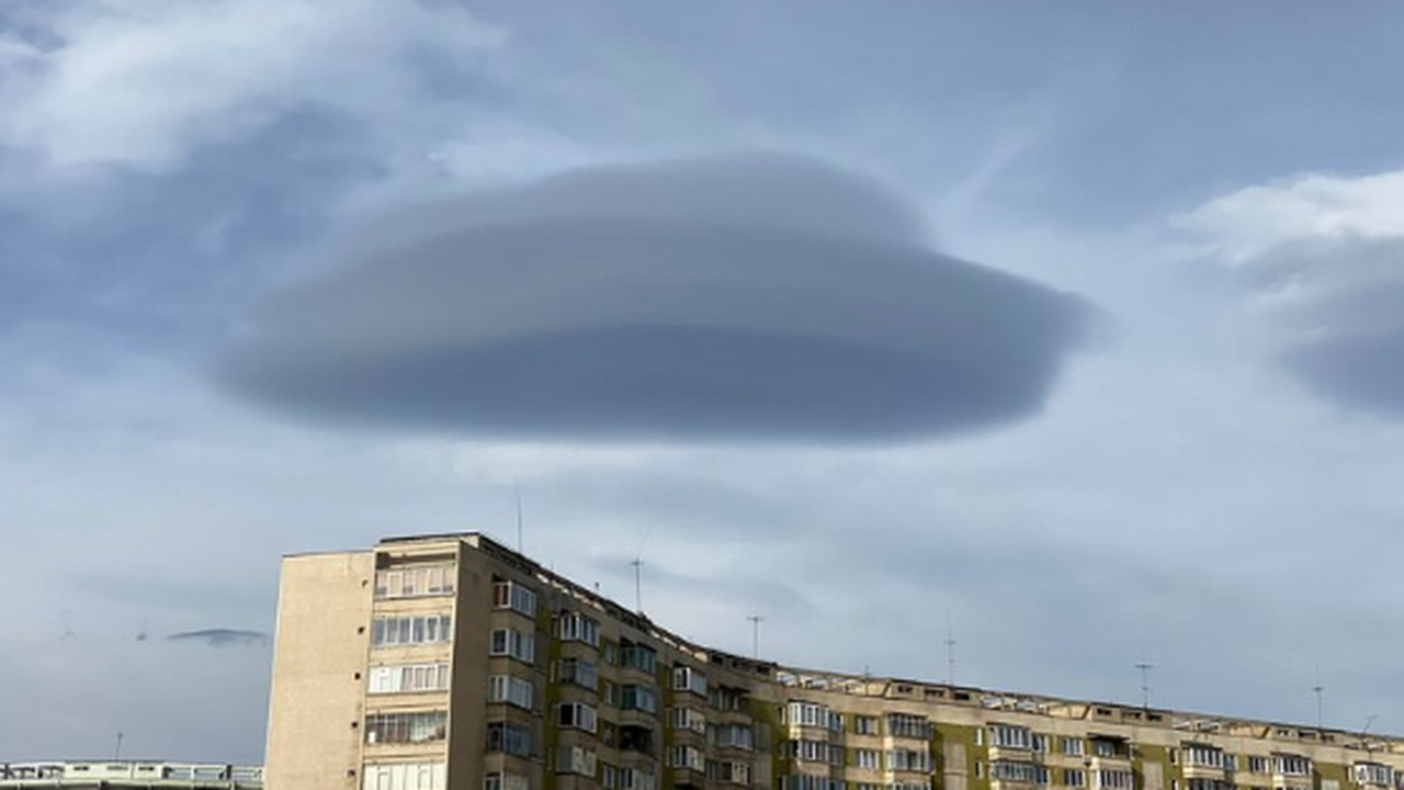 Группа ученых из Корнеллского университета неда...