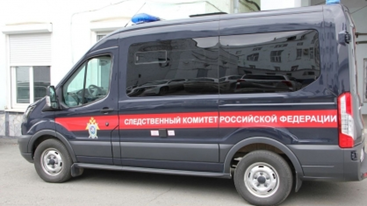 Психологи разъяснили, почему школьница из Прика...